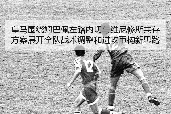 img_1782642654829_415_1_376.jpg