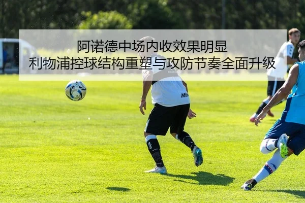 img_1783859572973_367_1_436.jpg